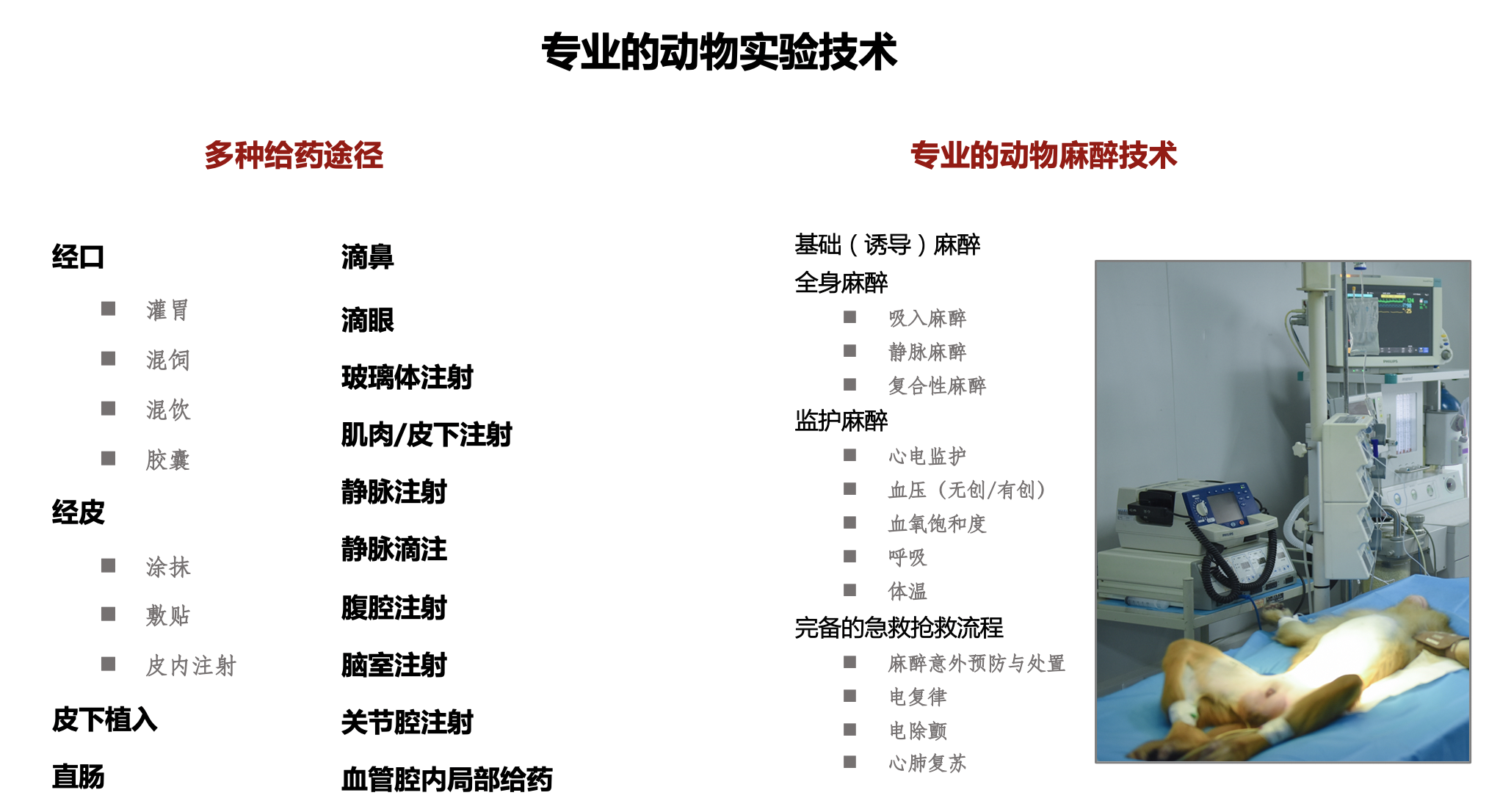 专业的实验技术.png