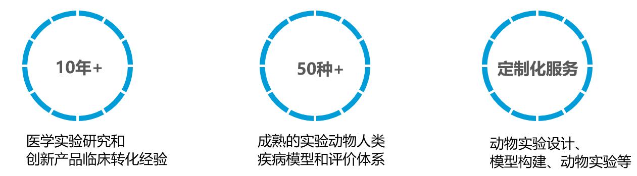 9.png
