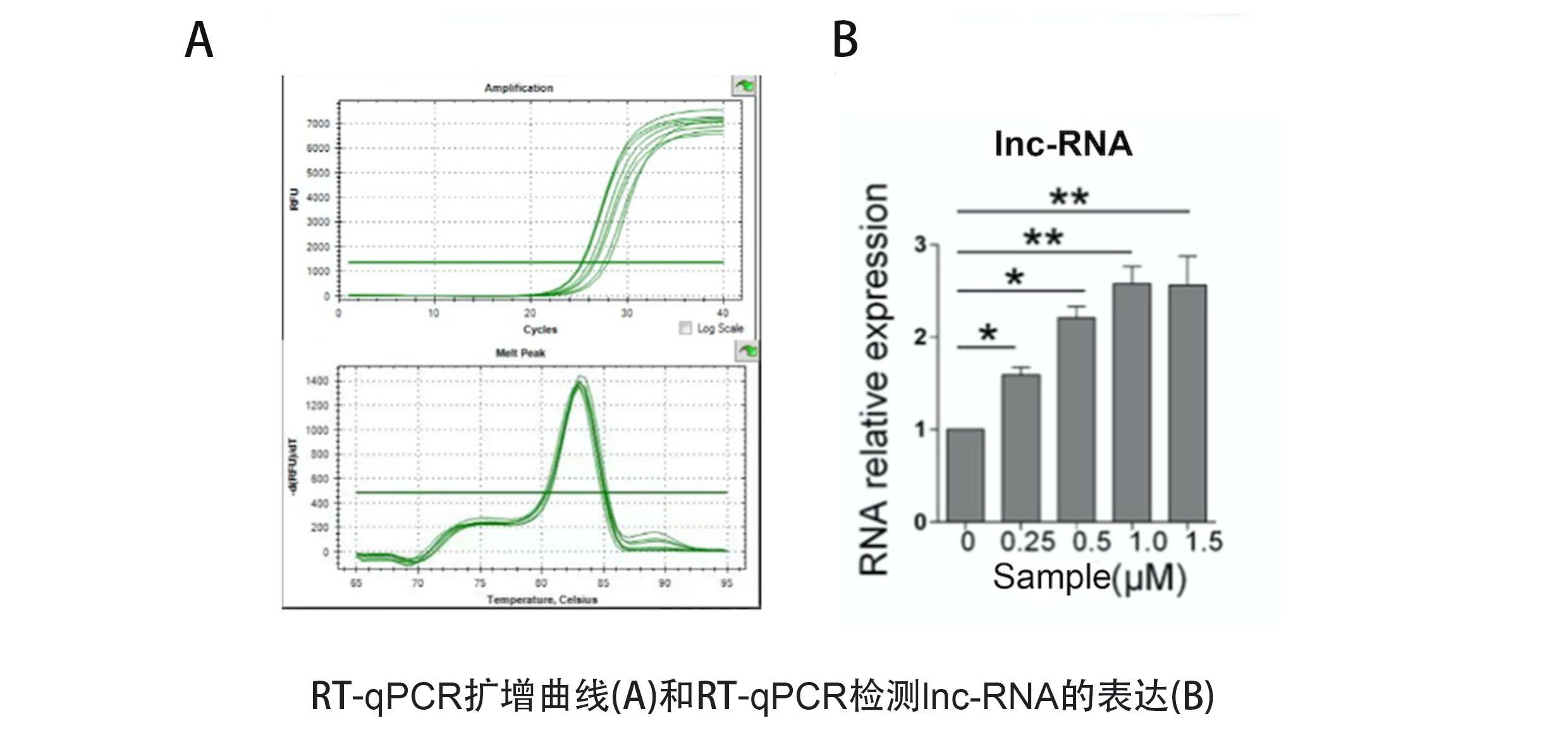 qPCR.png