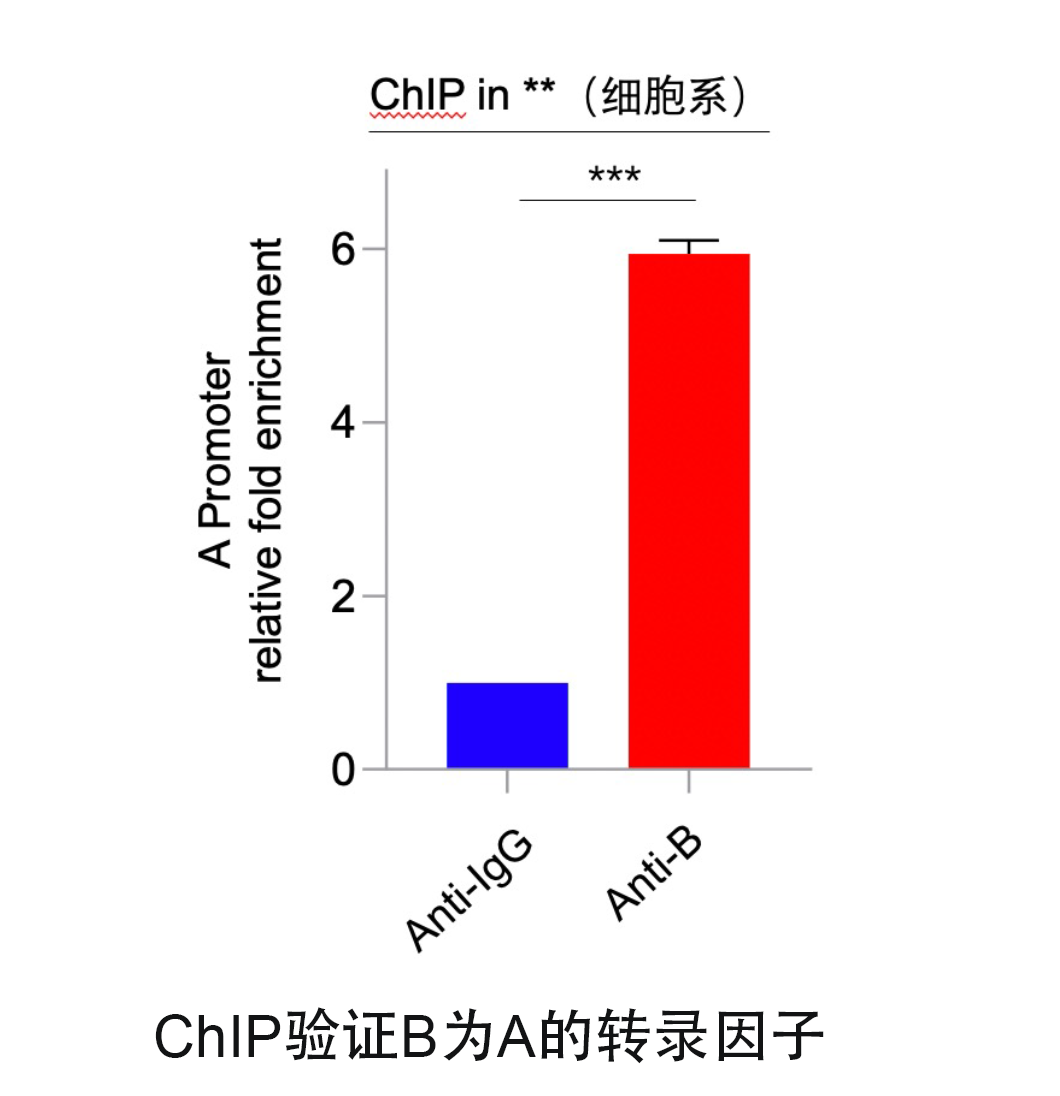 CHIP.png