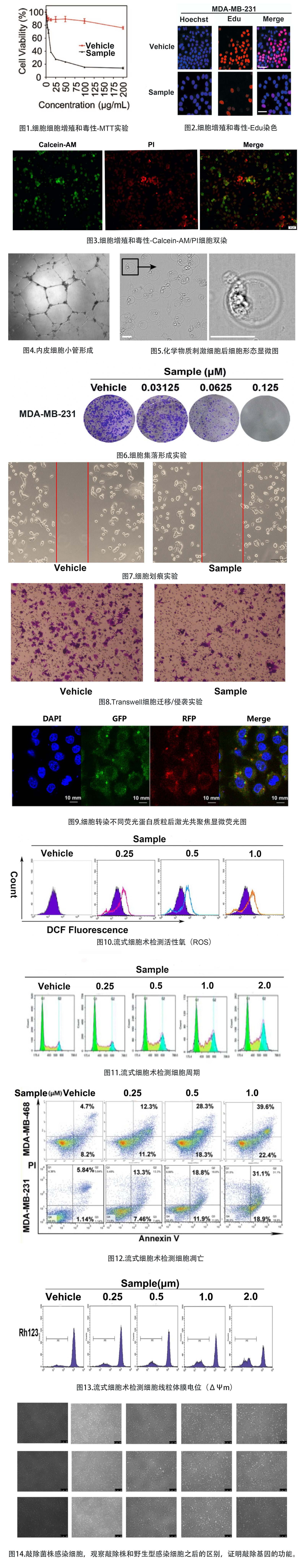 细胞生物学研究平台.png