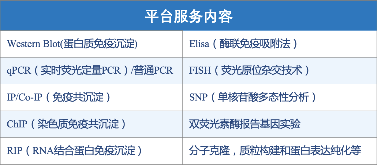 分子生物学.png